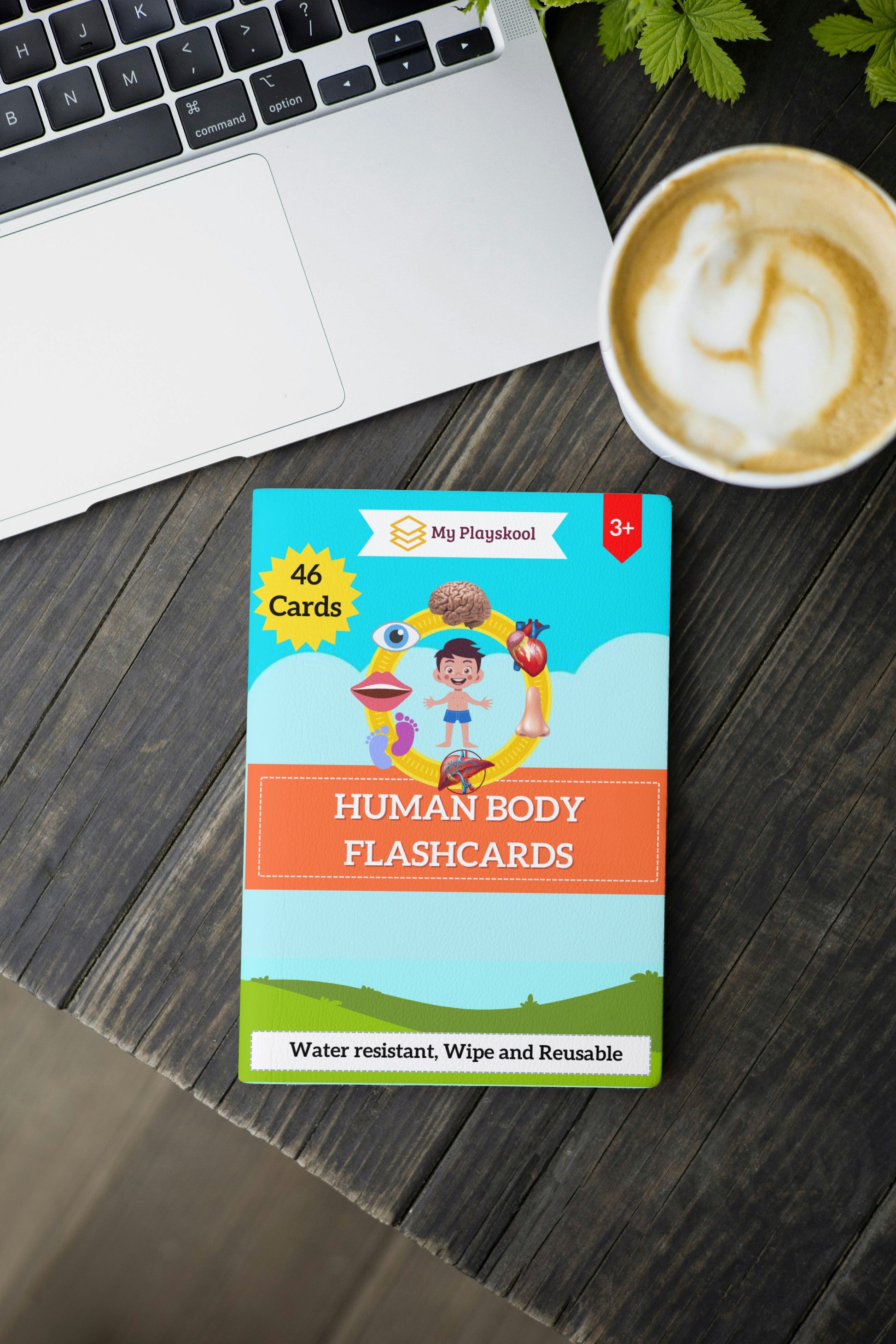 Learn about Human Body Cards, Science and Early learning