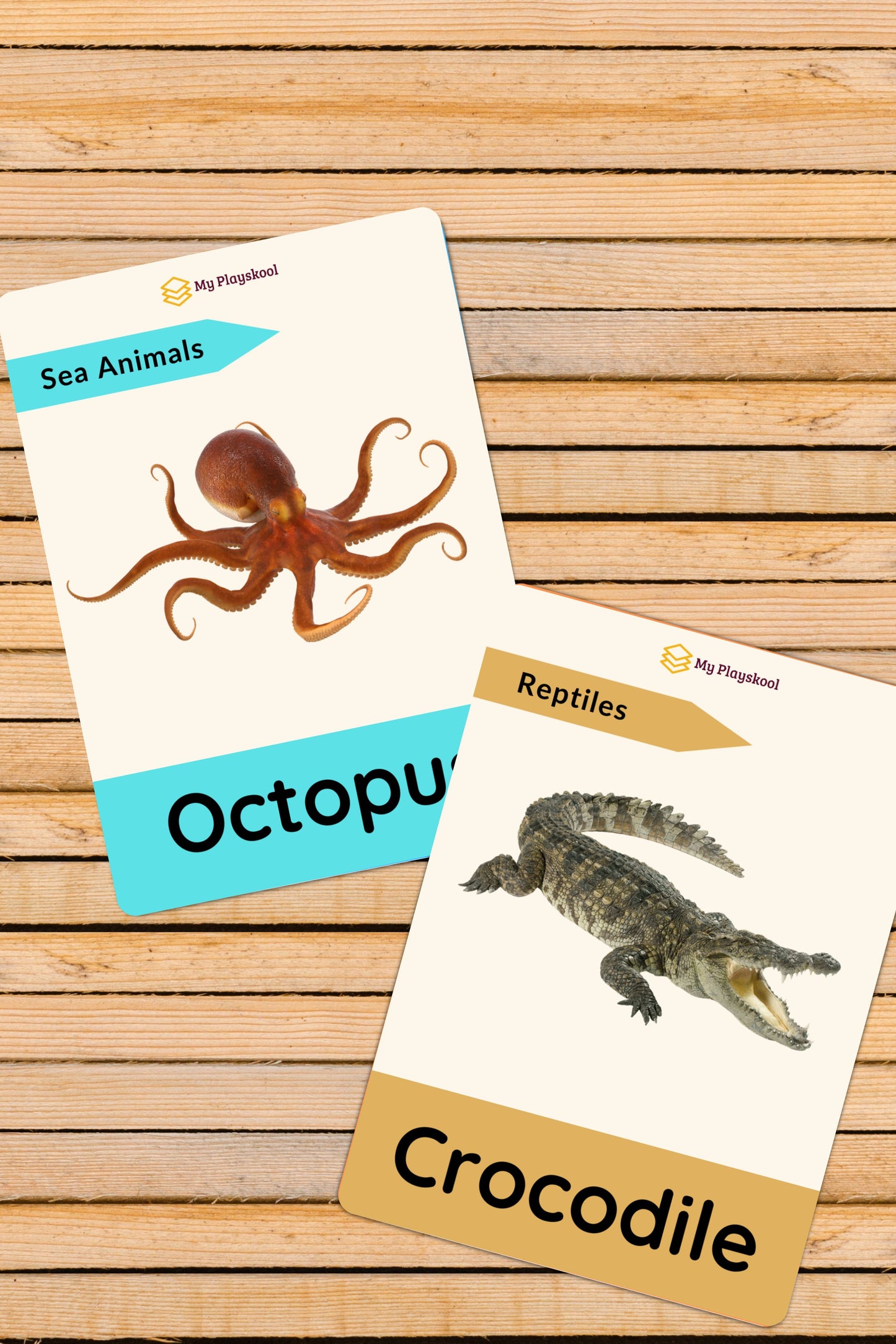 Wild Animals, Reptiles, Sea Animals, Farm Animals, Pet Animals along with 4 activity cards Flashcards