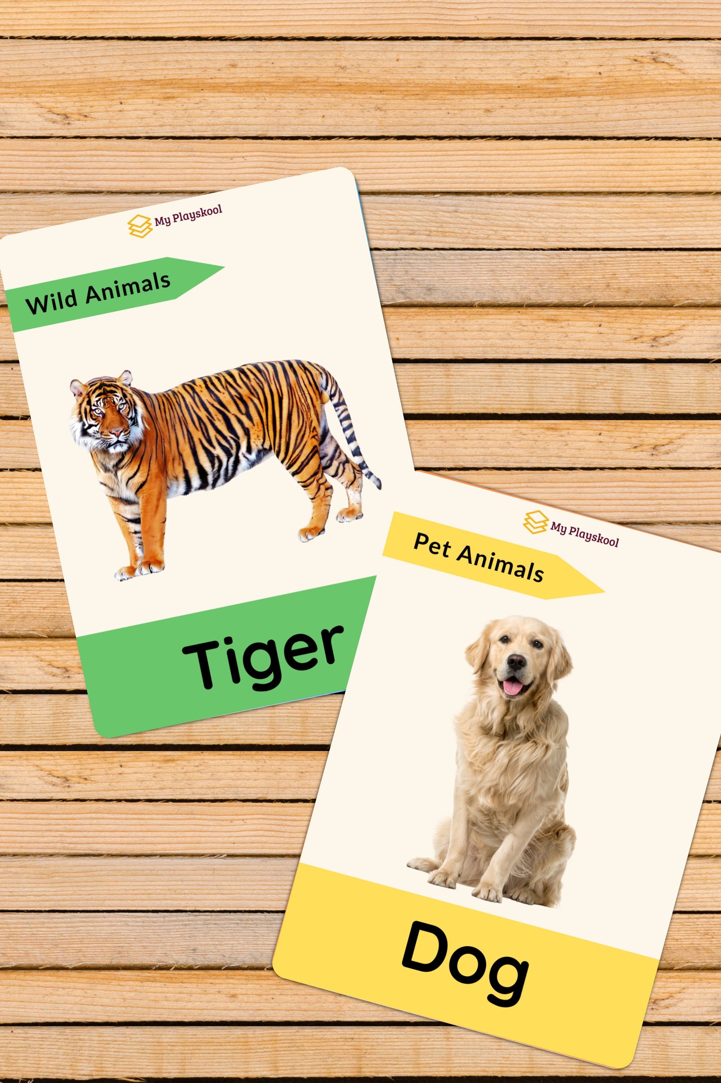 Wild Animals, Reptiles, Sea Animals, Farm Animals, Pet Animals along with 4 activity cards Flashcards